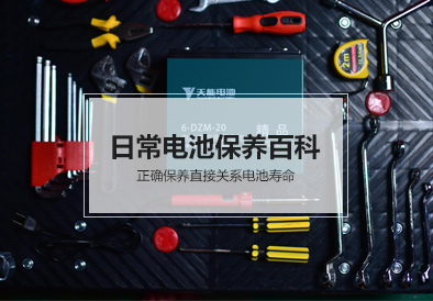 Z6尊龙电池
