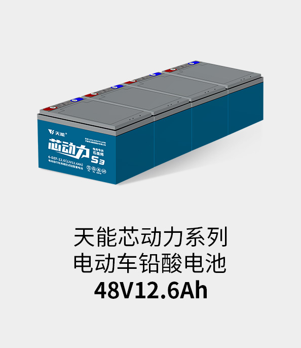 Z6尊龙电池48v12ah
