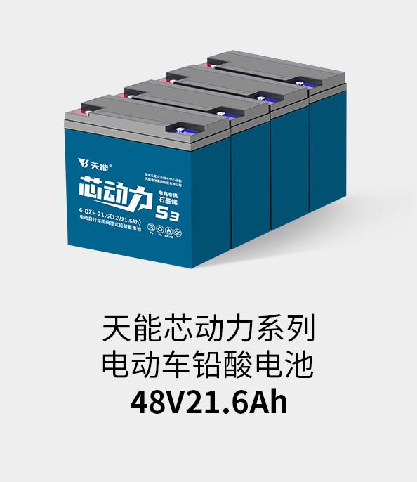 Z6尊龙电池48v20ah