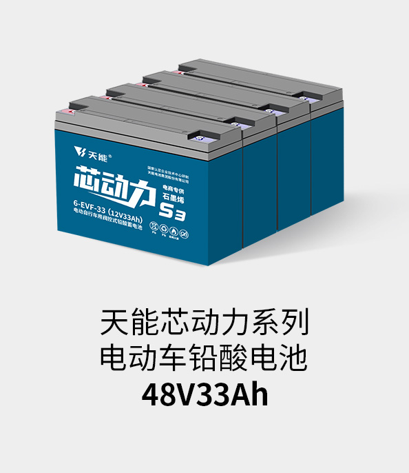 Z6尊龙电池48v32ah