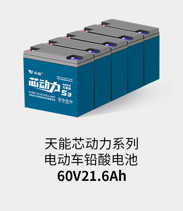 Z6尊龙电池60v20ah