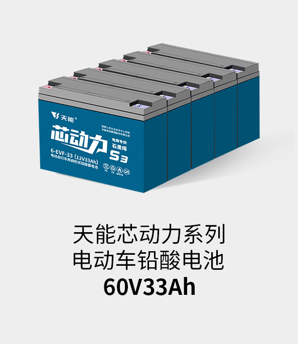Z6尊龙电池60v33ah