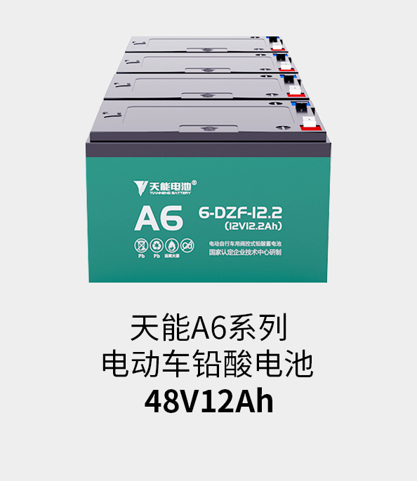 Z6尊龙电池48v12ah