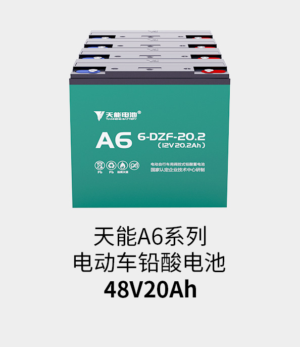 Z6尊龙电池48v20ah