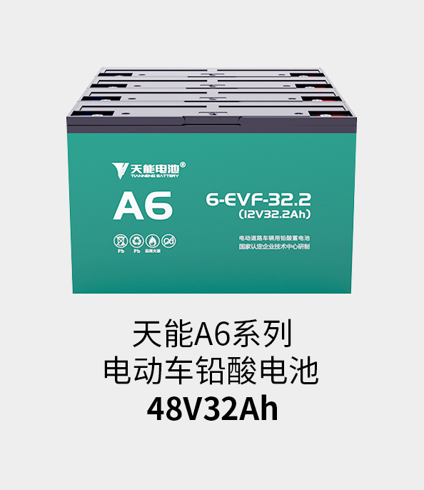 Z6尊龙电池48v32ah