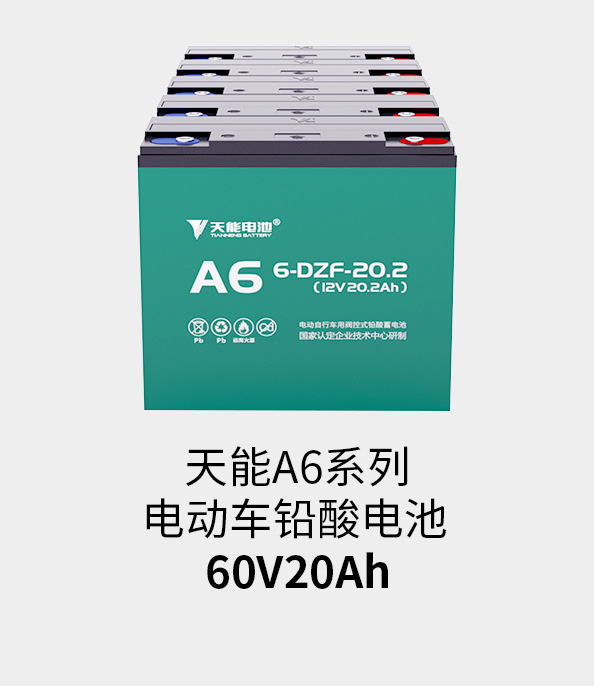 Z6尊龙电池60v20ah