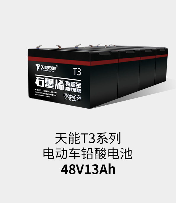 Z6尊龙T3系列48v13ah