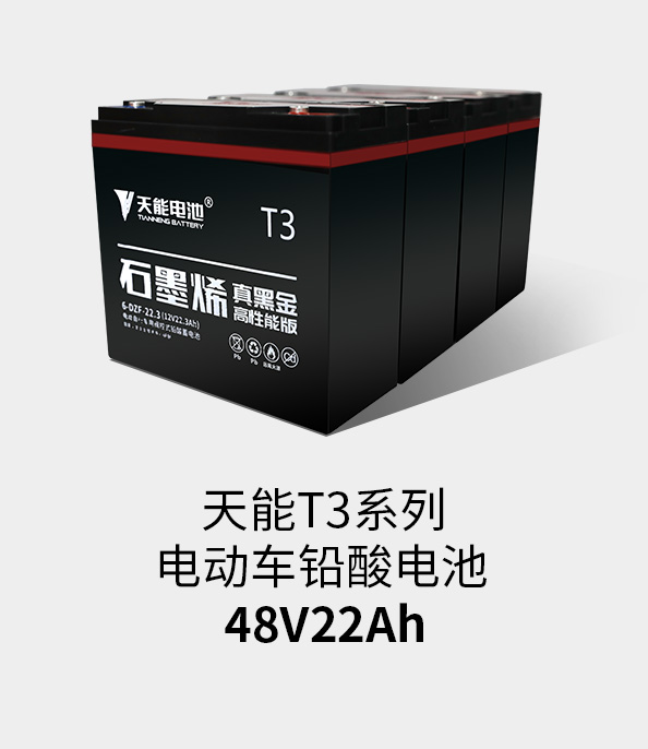 Z6尊龙T3系列48v22ah