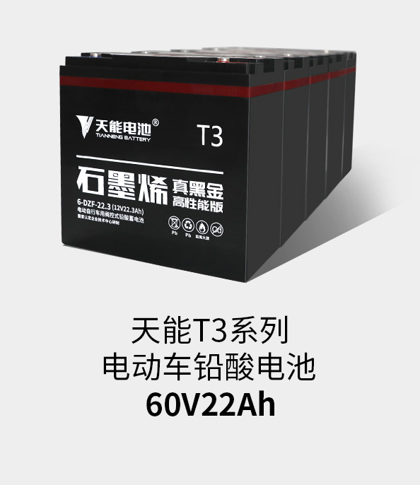 Z6尊龙T3系列60v22ah