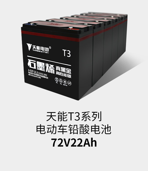 Z6尊龙T3系列72v22ah