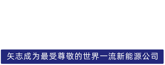 Z6尊龙股份